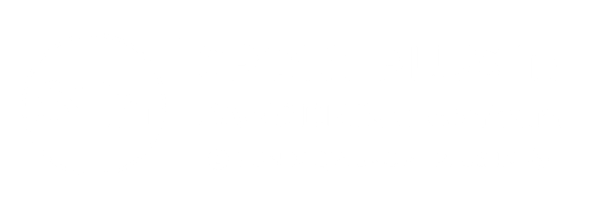 logo na stronę s+in.pl (65 x 55 px) (1000 x 300 px) 3